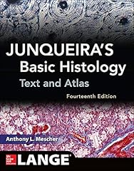 Junqueira basic histology usato  Spedito ovunque in Italia 