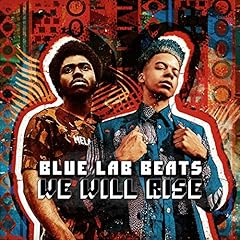 Will rise usato  Spedito ovunque in Italia 