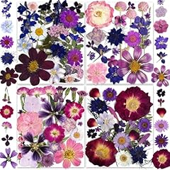 Types 143pcs purple for sale  Delivered anywhere in UK