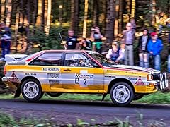 Rallyesport 1984 gebraucht kaufen  Wird an jeden Ort in Deutschland
