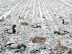 Tcdesignerproducts mallard fee for sale  Delivered anywhere in USA 