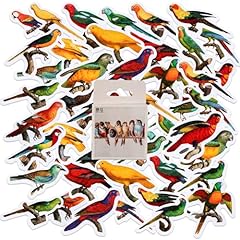 46pcs colorful parrot for sale  Delivered anywhere in UK