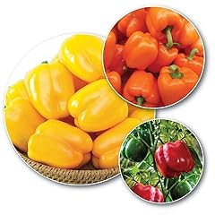 Gardeners kitchen pepper for sale  Delivered anywhere in UK