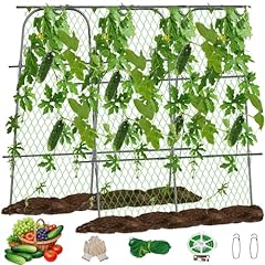 163 163cm cucumber for sale  Delivered anywhere in UK