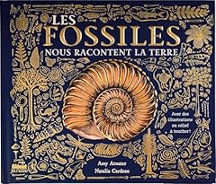 Fossiles racontent terre d'occasion  Livré partout en France