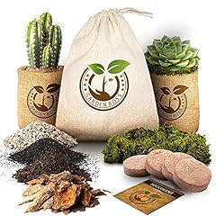 Succulent cactus seed for sale  Delivered anywhere in USA 