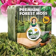 Duspro dried moss for sale  Delivered anywhere in UK