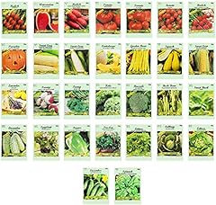 Set vegetable herb for sale  Delivered anywhere in USA 