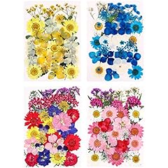 Gaosaili 132pcs dried for sale  Delivered anywhere in UK
