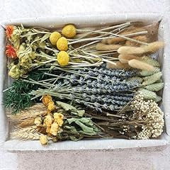 Diy natural dried for sale  Delivered anywhere in USA 