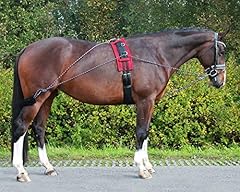 Qhp lunging training for sale  Delivered anywhere in UK