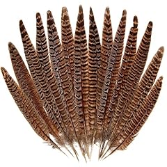 20pcs female pheasant for sale  Delivered anywhere in USA 