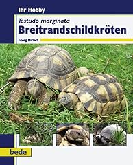Ihr hobby. testudo usato  Spedito ovunque in Italia 