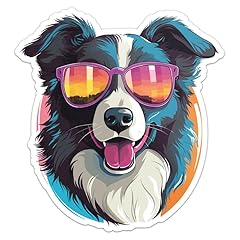 Cool border collie for sale  Delivered anywhere in USA 