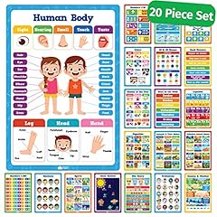 Classroom educational posters for sale  Delivered anywhere in USA 