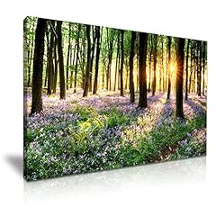 Bluebells forest tree for sale  Delivered anywhere in UK