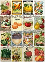 Victorian vintage seed for sale  Delivered anywhere in USA 