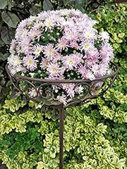 Manufaktur lichtbogen blumenko gebraucht kaufen  Wird an jeden Ort in Deutschland
