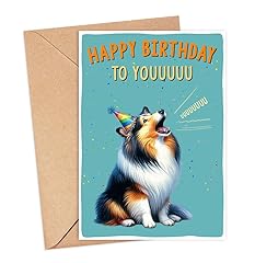 Shetland sheepdog dog for sale  Delivered anywhere in USA 