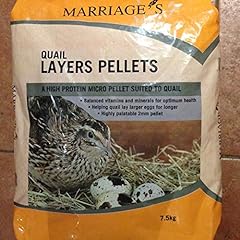 Marriage quail layers for sale  Delivered anywhere in UK