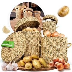 Fruit hub aufbewahrungsbox gebraucht kaufen  Wird an jeden Ort in Deutschland