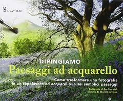 Dipingiamo paesaggi acquarello usato  Spedito ovunque in Italia 