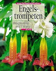 Engelstrompeten. brugmansia un for sale  Delivered anywhere in Ireland