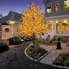 Lightshare maple tree for sale  Delivered anywhere in USA 