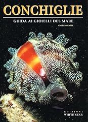 Conchiglie. guida gioielli usato  Spedito ovunque in Italia 