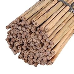 Tradexone bamboo canes for sale  Delivered anywhere in UK