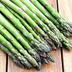 Schone asparagus roots for sale  Delivered anywhere in Ireland