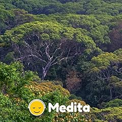 Mindfulness selva 9 usato  Spedito ovunque in Italia 