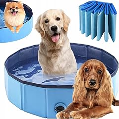 Taylor brown dog for sale  Delivered anywhere in UK