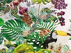 Homebuy tropical toucan for sale  Delivered anywhere in UK