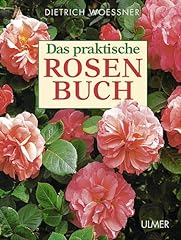 Praktische rosenbuch gebraucht kaufen  Wird an jeden Ort in Deutschland