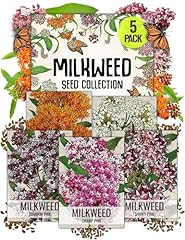 Seed needs milkweed for sale  Delivered anywhere in USA 