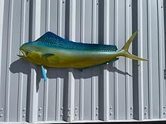 Mount fish company for sale  Delivered anywhere in USA 