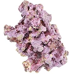 Arc reef premium for sale  Delivered anywhere in USA 