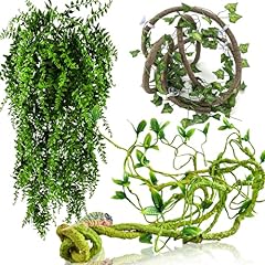 Hercocci reptile vines for sale  Delivered anywhere in USA 