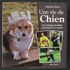 compagnon chien d'occasion  Livré partout en France