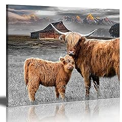 Rinsiken highland cattle for sale  Delivered anywhere in USA 