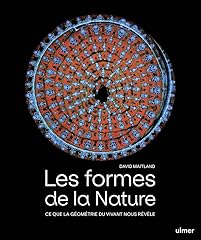 Formes nature géométrie d'occasion  Livré partout en France