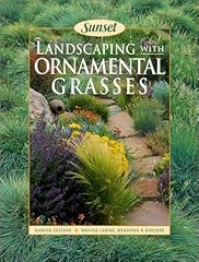 Landscaping ornamental grasses for sale  Delivered anywhere in USA 