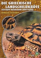 Die griechische landschildkrö usato  Spedito ovunque in Italia 