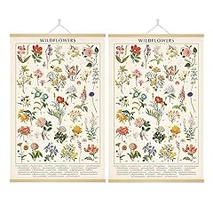 Vintage wildflowers poster for sale  Delivered anywhere in USA 