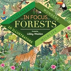 Focus forests usato  Spedito ovunque in Italia 