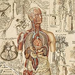 Grey anatomy gebraucht kaufen  Wird an jeden Ort in Deutschland