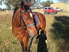 Equipride bling diamante for sale  Delivered anywhere in UK