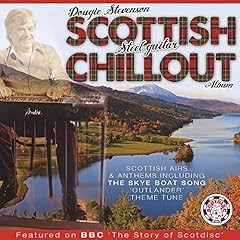 Steel guitar chillout d'occasion  Livré partout en France