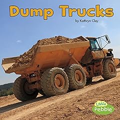 Dump trucks for sale  Delivered anywhere in USA 
